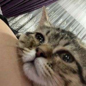 Meet your Posher, Dalya